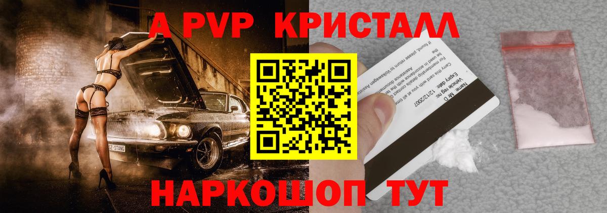 A-PVP СК КРИС Ленинск-Кузнецкий