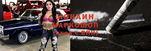 стаф Алзамай
