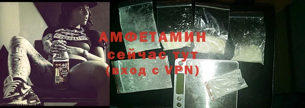 стаф Алзамай