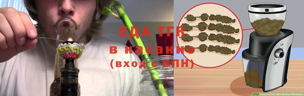стаф Алзамай