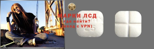 прущие грибы Алексеевка