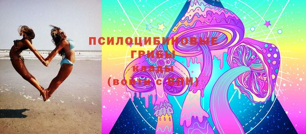 прущие грибы Алексеевка