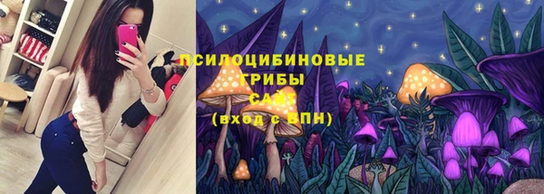 стаф Алзамай