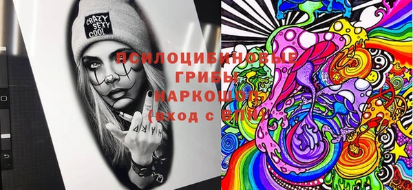 стаф Алзамай