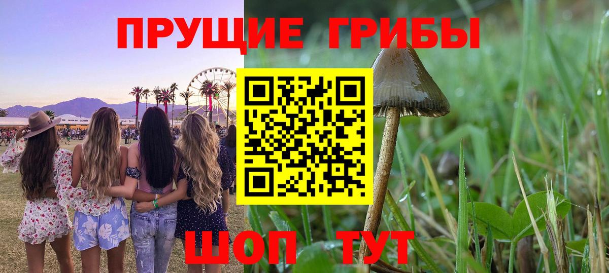 хочу наркоту  Галлюциногенные грибы Magic Shrooms  Вход с VPN  Ленинск-Кузнецкий 